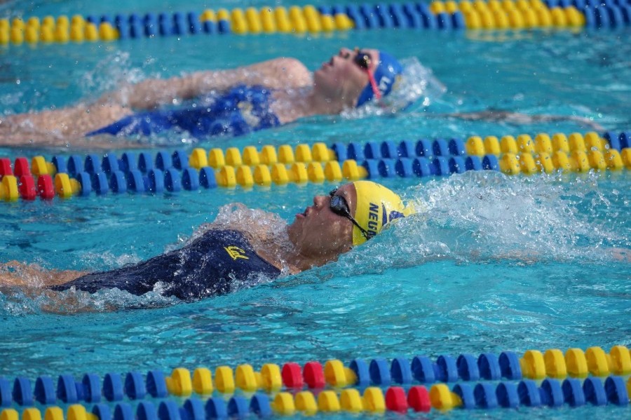 WSWIM: Cal Women's Swimming vs UCLA