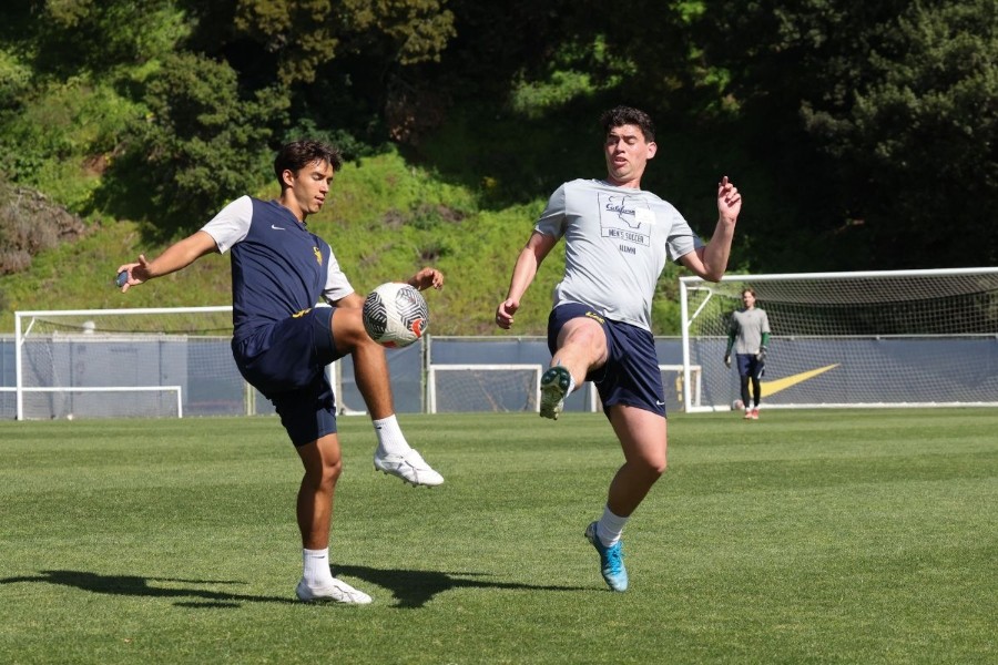 MSOC: Cal Men's Soccer vs Alumni Game