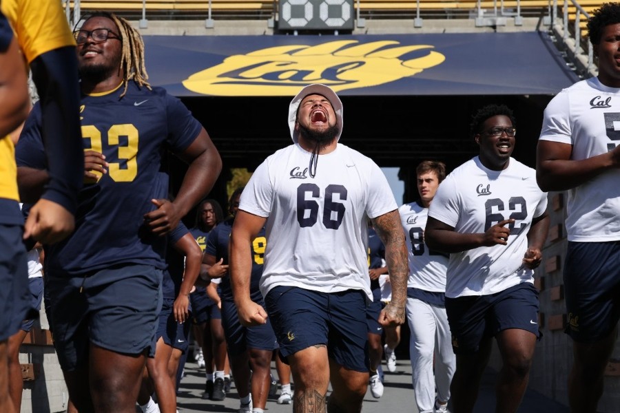 FB: Cal Football Practice