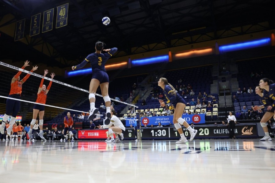 VB: Cal Volleyball vs Virginia