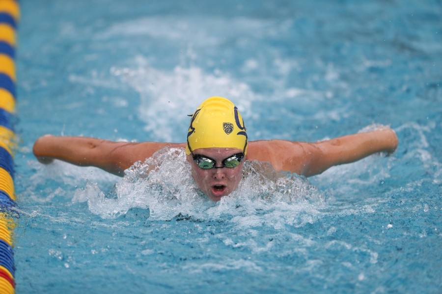 WSWIM: Cal Women's Swimming vs Oregon State